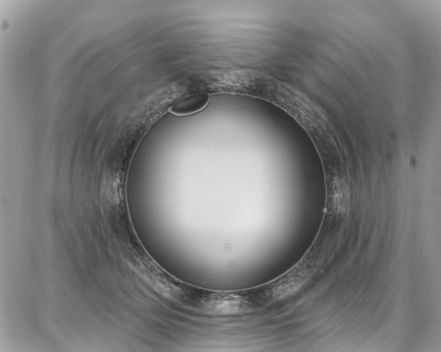 X0000086800514200704131309