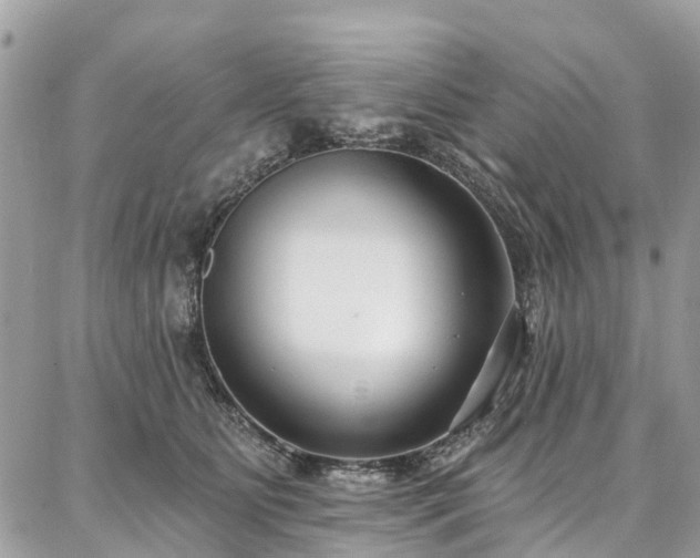 X0000086800515200704131309