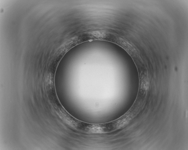 X0000086800518200704131309