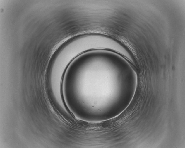X0000086800536200704131308