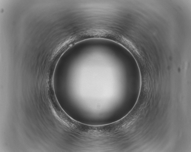 X0000086800538200704131308