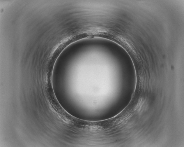 X0000086800539200704131308