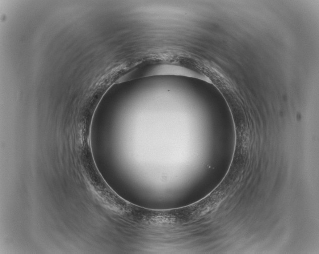 X0000086800546200704131308