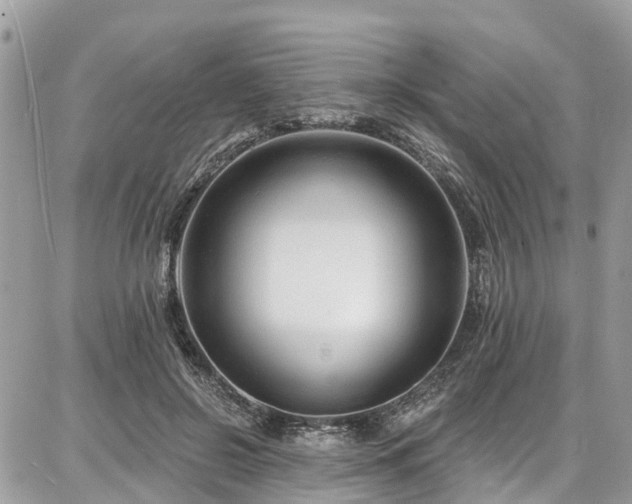 X0000086800550200704131308