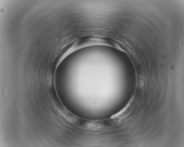 X0000086800568200704131309