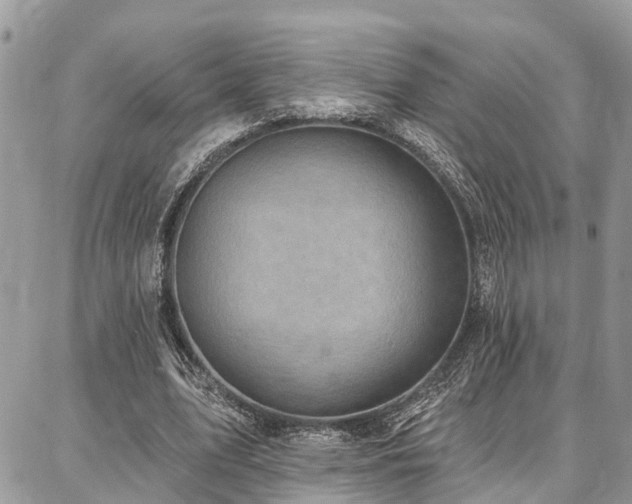 X0000086800583200704131308