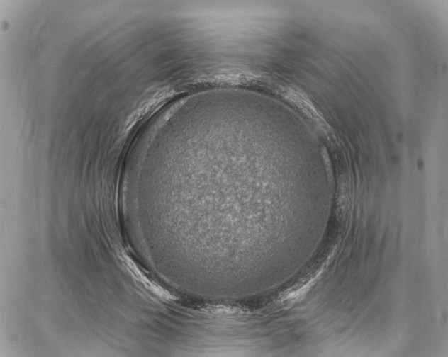 X0000086800585200704131308