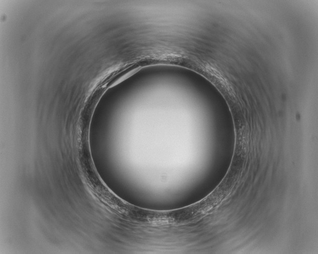 X0000086800587200704131308