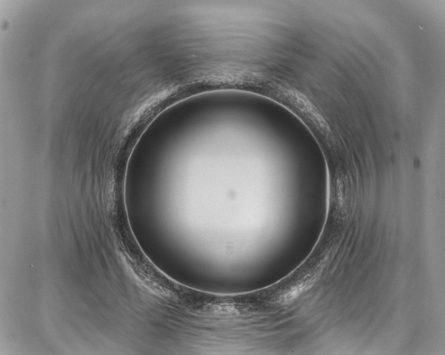 X0000086800588200704131308