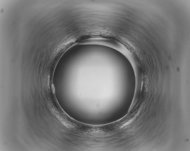 X0000086800589200704131308