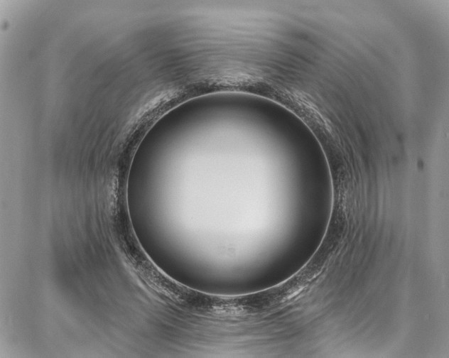 X0000086800591200704131308