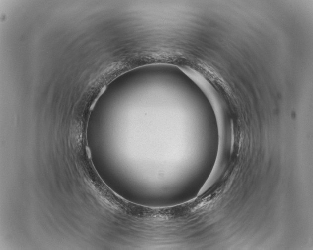 X0000086800593200704131308