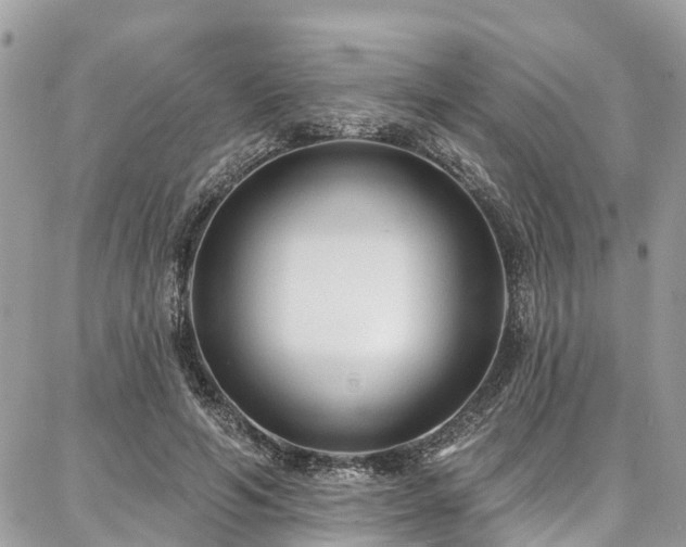 X0000086800594200704131308