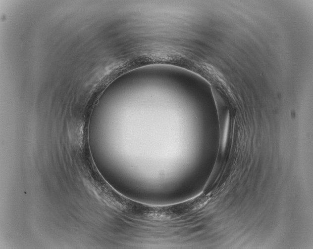 X0000086800596200704131308