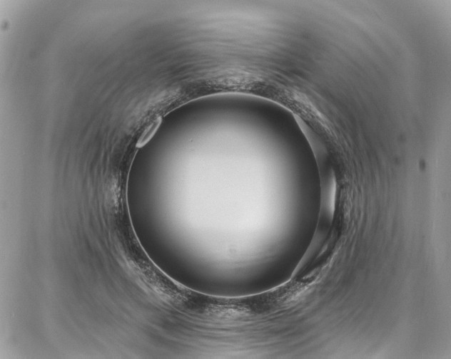 X0000086800597200704131308