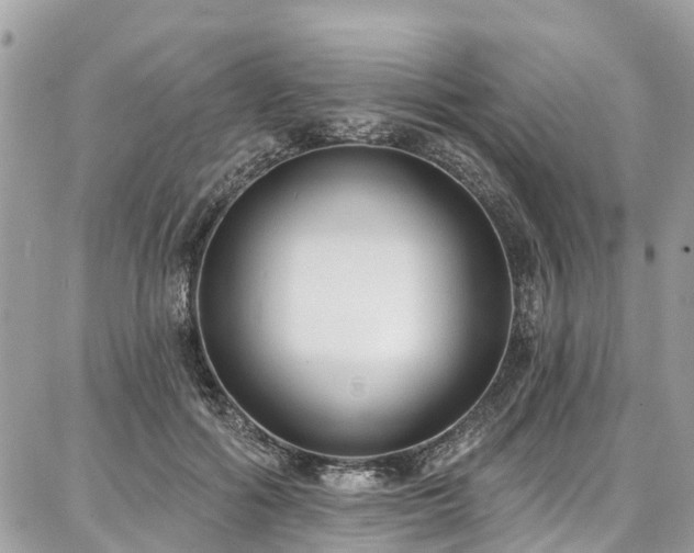 X0000086800602200704131307