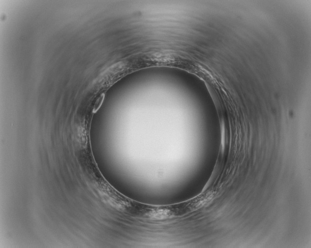 X0000086800609200704131307