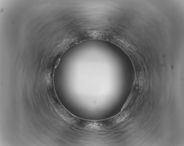 X0000086800611200704131307
