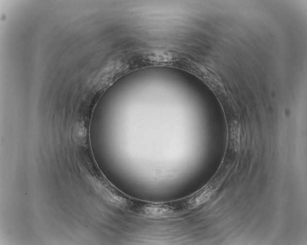 X0000086800614200704131307