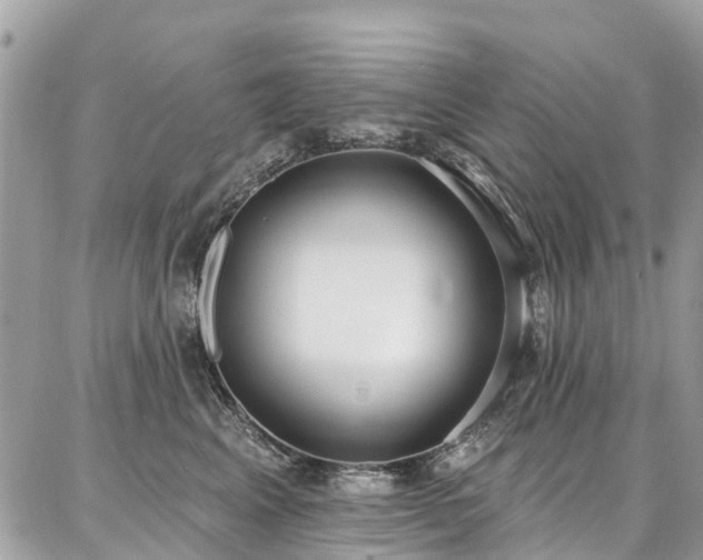 X0000086800617200704131307