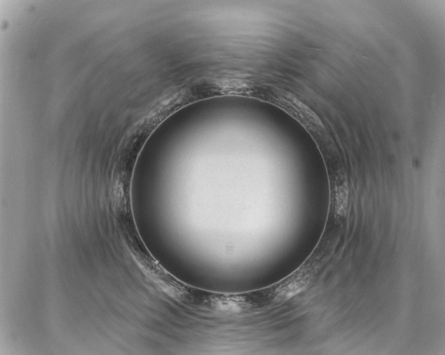 X0000086800618200704131307