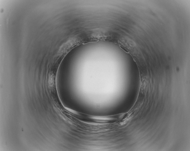 X0000086800623200704131307