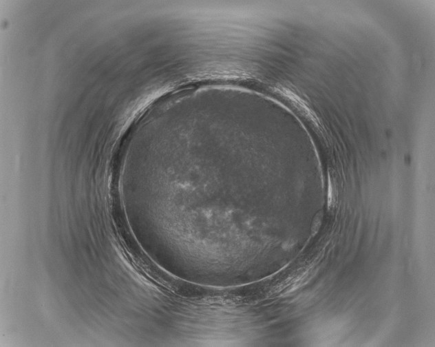 X0000086800627200704131306