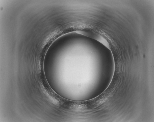 X0000086800638200704131306