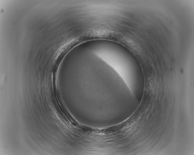 X0000086800640200704131307