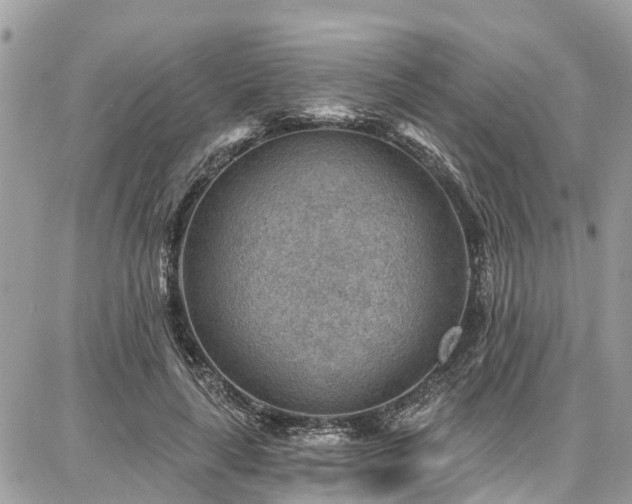 X0000086800643200704131307