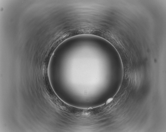 X0000086800647200704131307