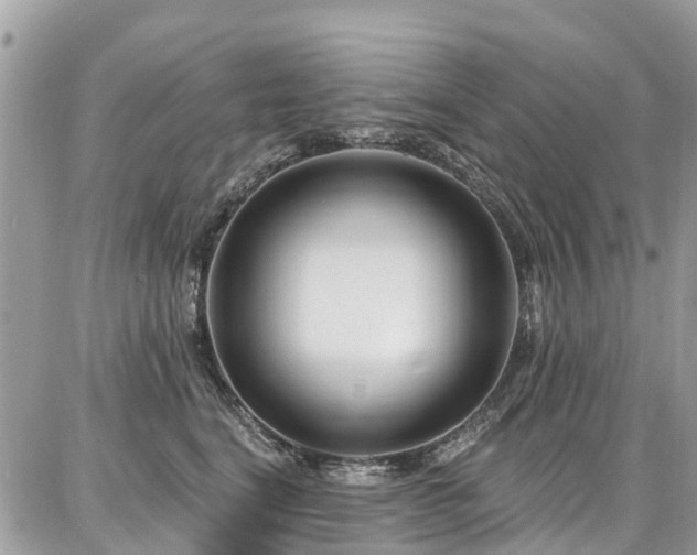 X0000086800664200704131307