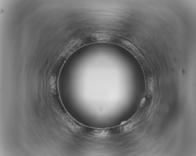 X0000086800667200704131307