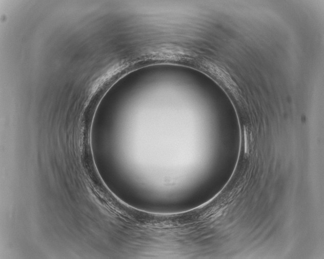 X0000086800675200704131306