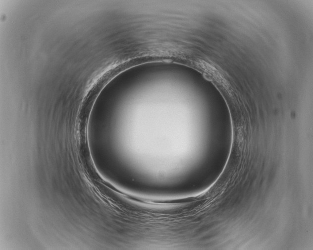 X0000086800676200704131306