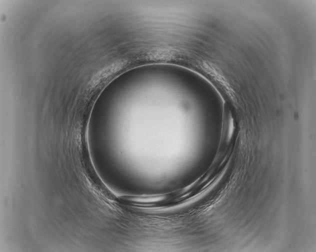 X0000086800681200704131306