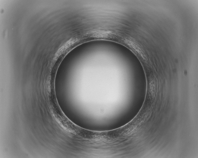 X0000086800682200704131306
