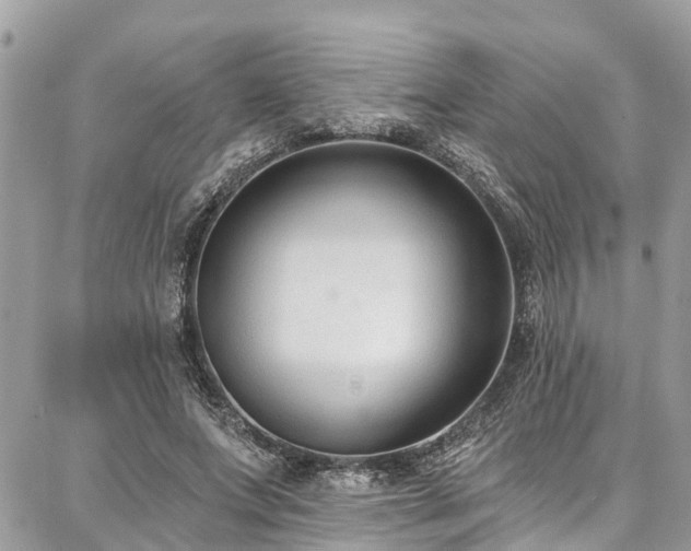 X0000086800687200704131306