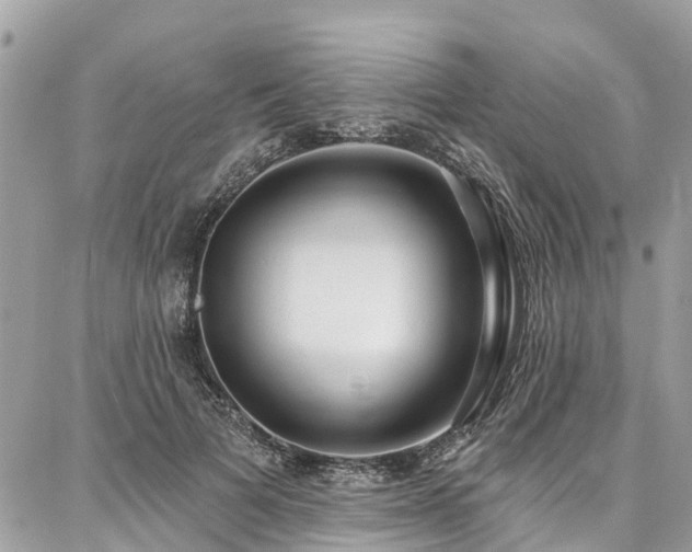X0000086800697200704131306