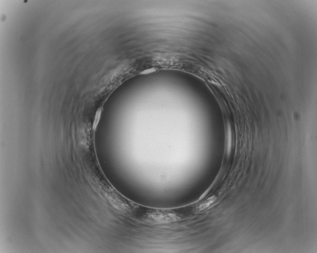 X0000086800712200704131306