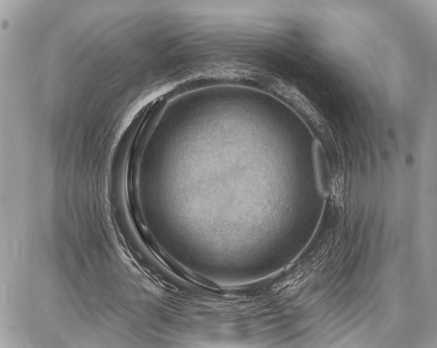 X0000086800724200704131305