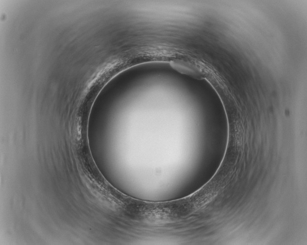 X0000086800731200704131305