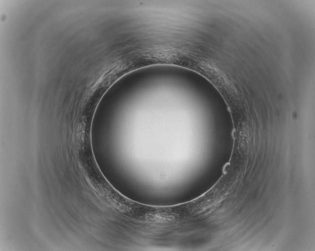 X0000086800739200704131305