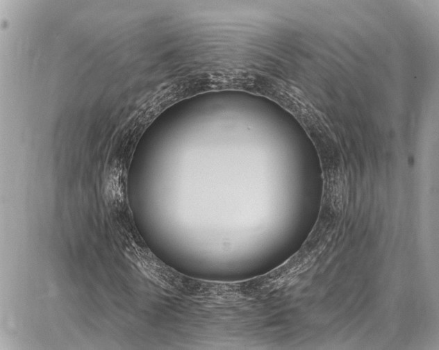 X0000086800770200704131305