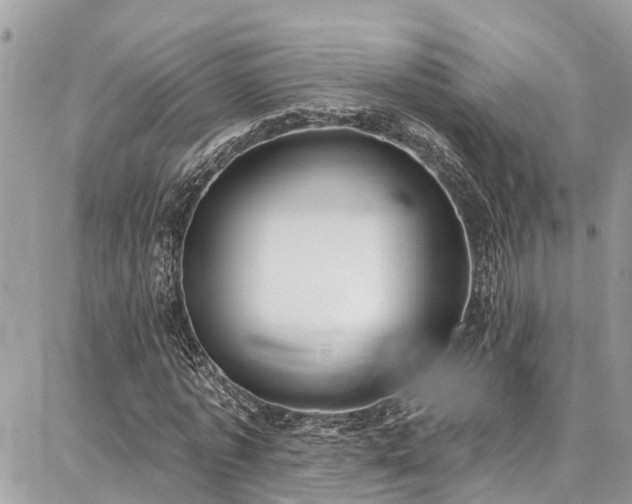 X0000086800773200704131305