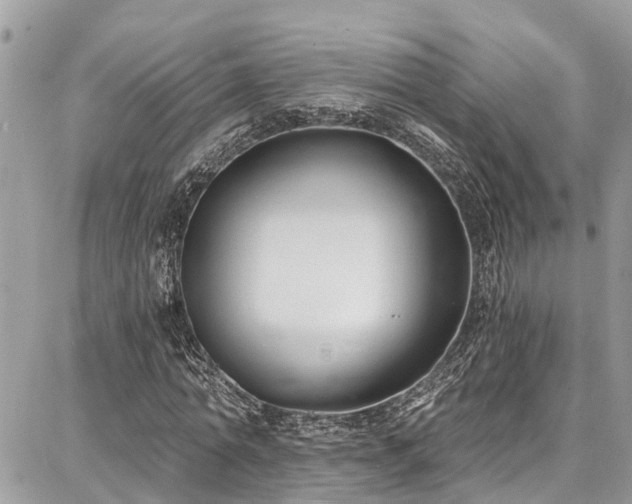 X0000086800774200704131305