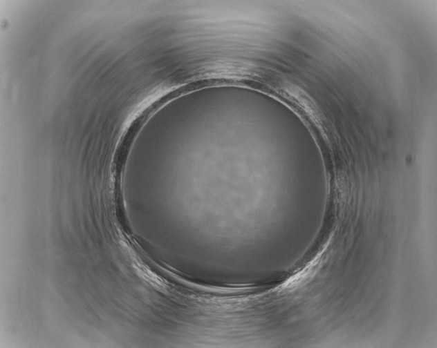 X0000086800779200704131304