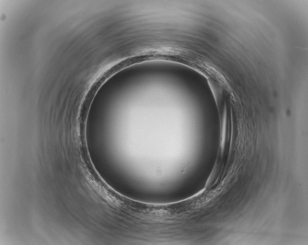 X0000086800784200704131304