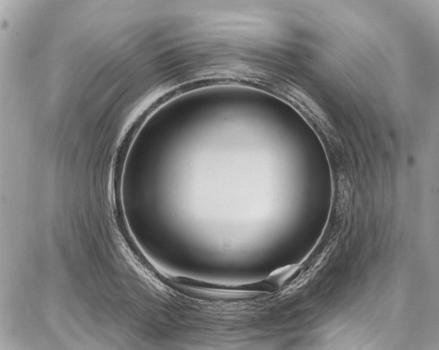 X0000086800788200704131304