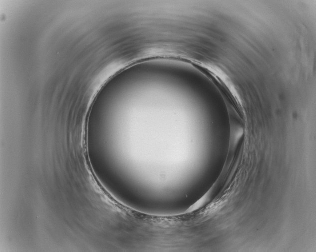 X0000086800815200704131304